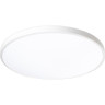 Светильник светодиодный декоративный JAZZWAY 5060883 PPB OPAL 70Вт 4000К IP20 d460х55 настенно-потолочный бытовой WH